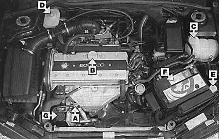 2.1.1 Места еженедельных проверок Opel Vectra B