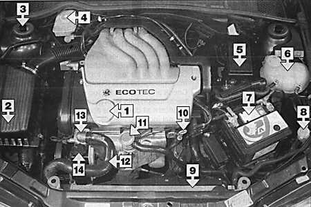 2.2.1 Техническое обслуживание бензиновых двигателей Opel Vectra B