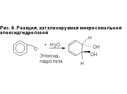 Реакция, катализируемая микросомальной эпоксидгидролазой