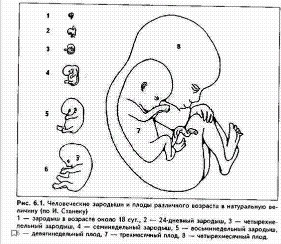 Снимок