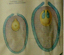 DSC00828