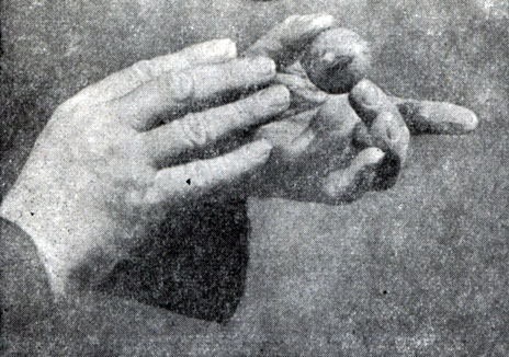 Рис. 20