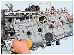 Stepway 142-7.jpg